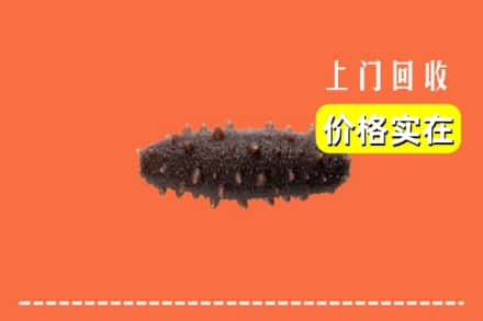 抚州黎川县回收海参