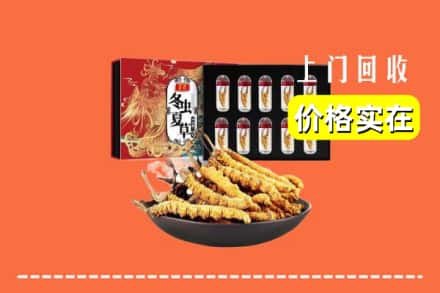 抚州黎川县回收虫草