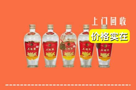 诚信求购:抚州黎川县高价回收老五粮液